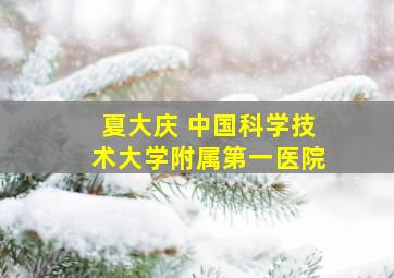 夏大庆 中国科学技术大学附属第一医院